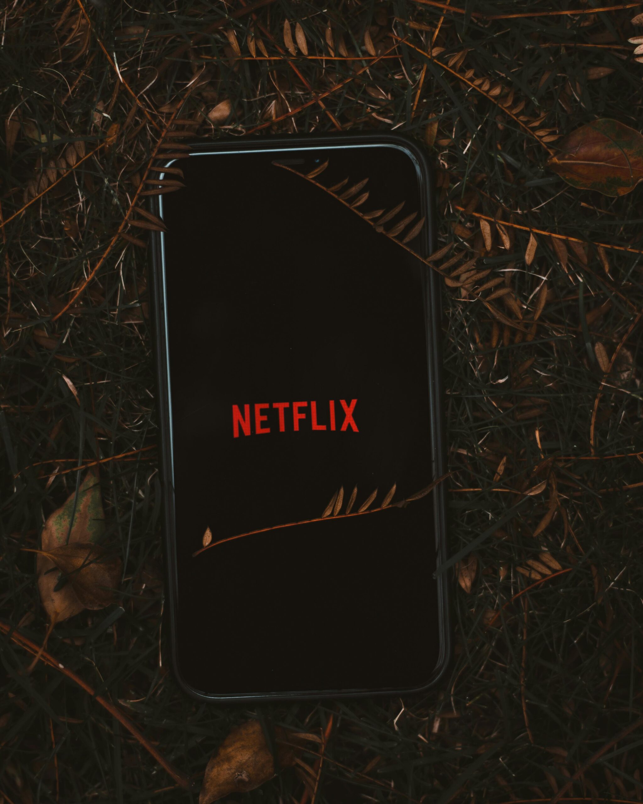 Netflix app screenshot with trending row.