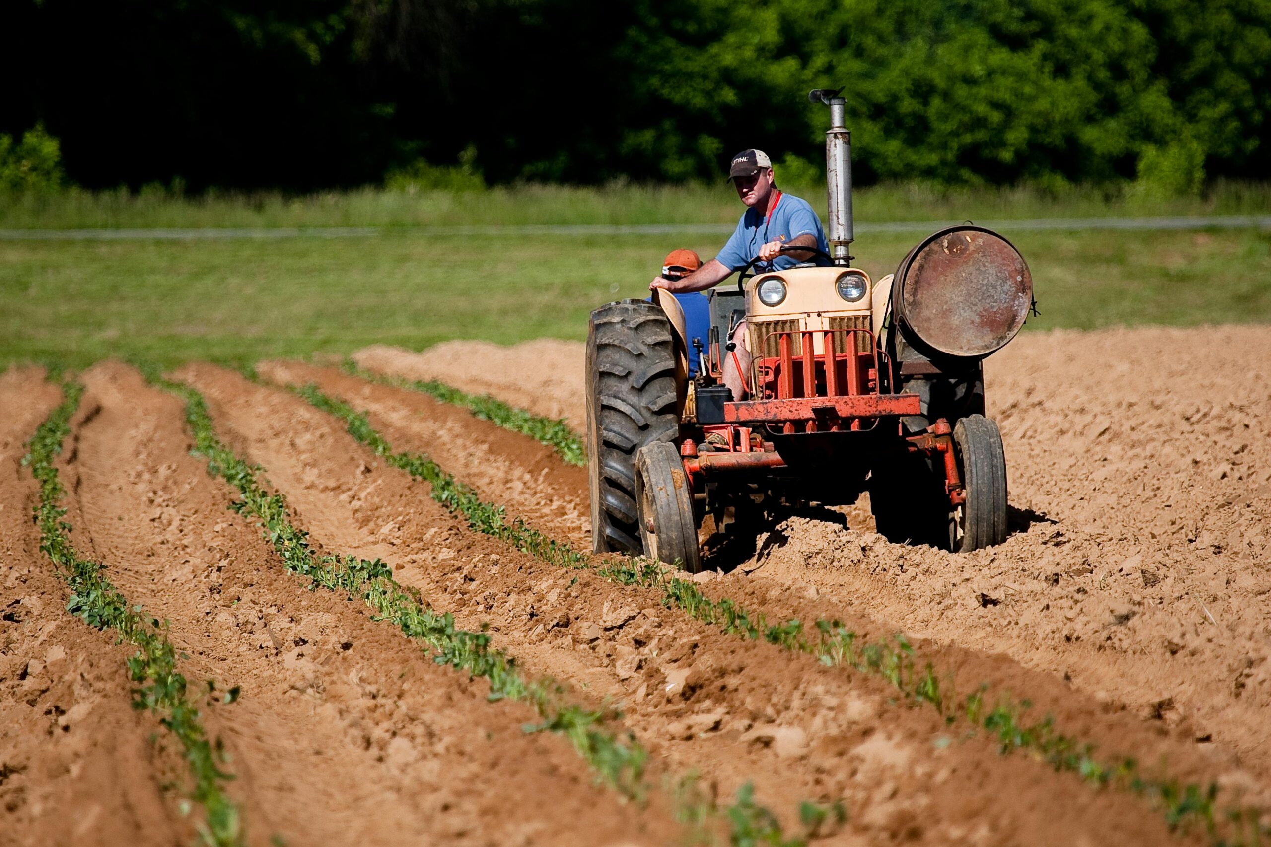 Farmer practicing regenerative agriculture with minimal tillage