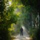 Natural sunlight exposure – person walking outdoors in the morning.
