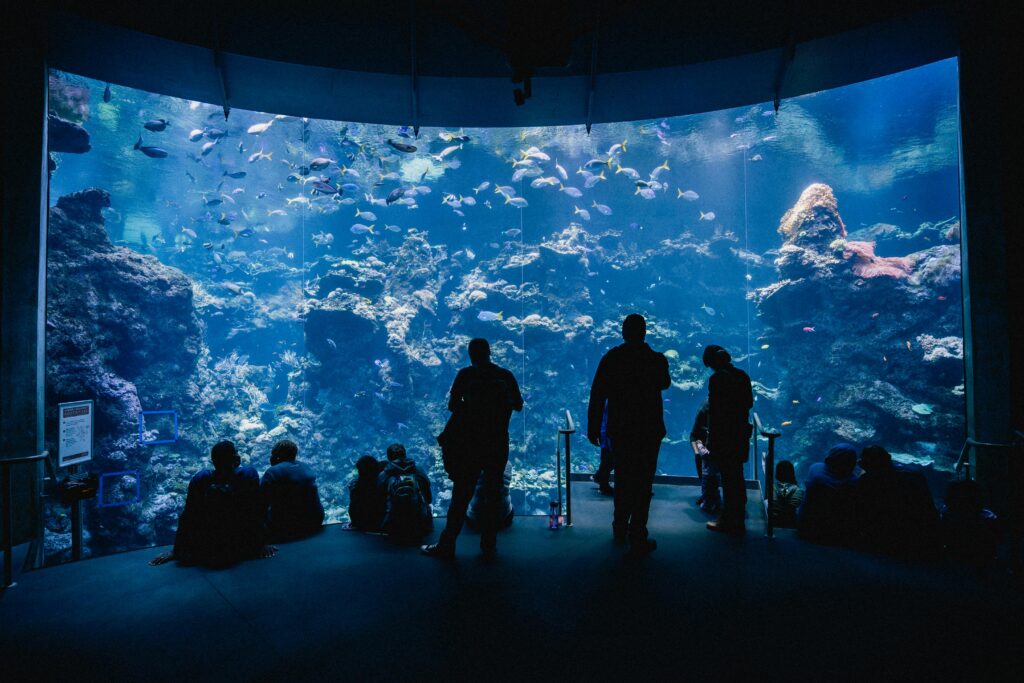 Blends luxury shopping with indoor ice rinks, VR parks, and a giant aquarium.
