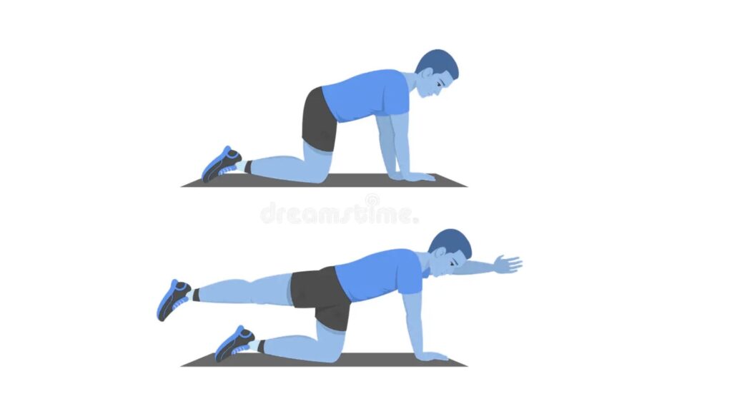 Step-by-step diagram showing correct Bird Dog posture.
