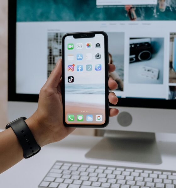 Social media ad mockups (Instagram, Facebook, TikTok)