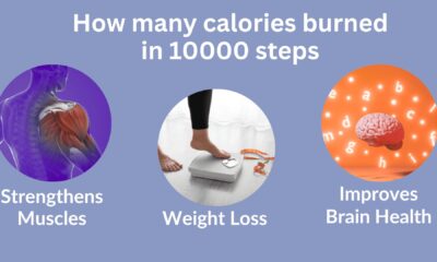 Infographic showing calorie burn vs. steps (e.g., 5,000, 10,000, 15,000 steps)