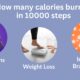 Infographic showing calorie burn vs. steps (e.g., 5,000, 10,000, 15,000 steps)