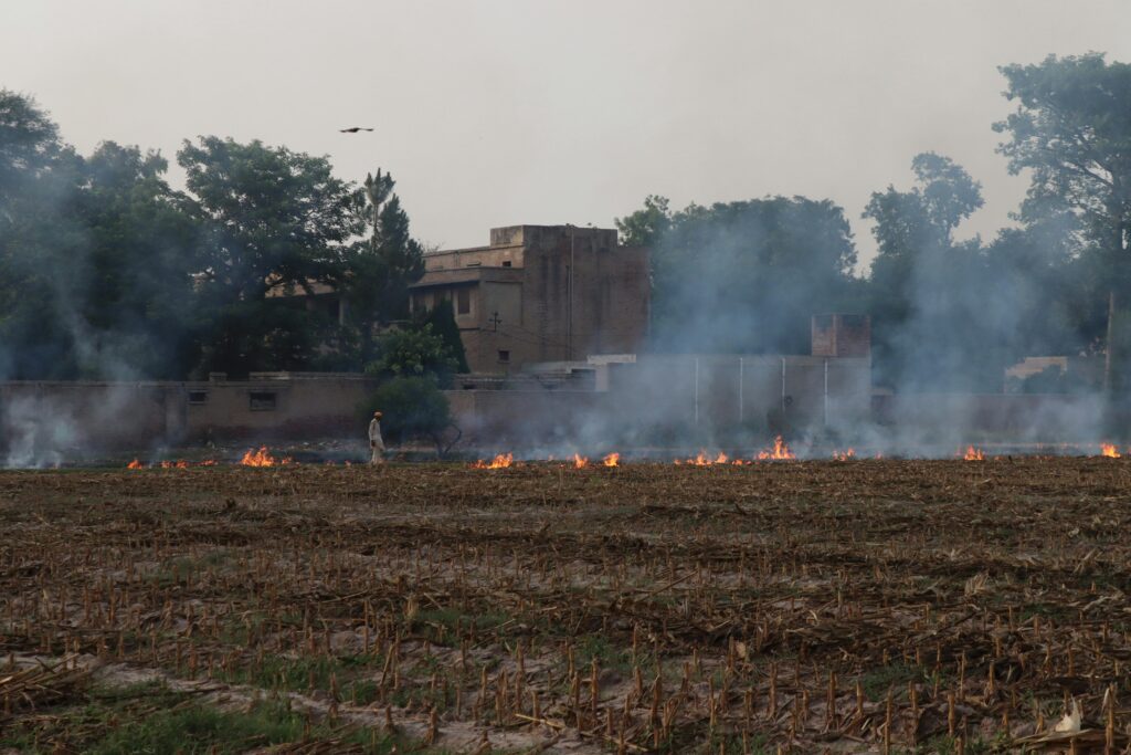 Farmland on fire showing crop residue burning.