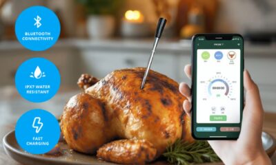 Child Safe Meat Cooking Made Easy with a Wireless Thermometer